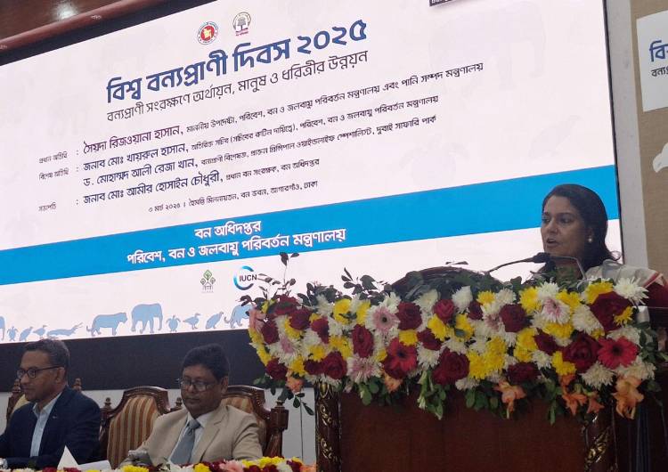 বাংলাদেশের বিলুপ্ত বন্যপ্রাণী ফিরিয়ে আনার উদ্যোগ নিয়েছে সরকার - পরিবেশ উপদেষ্টা