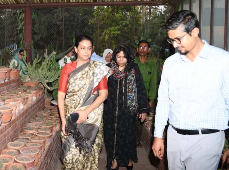 হারিয়ে যাওয়া উদ্ভিদ ফিরিয়ে আনতে উদ্যোগ নিয়েছে সরকার  - পরিবেশ ও বন উপদেষ্টা