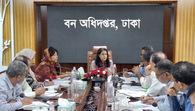 বনভূমি কাভারেজ ২০ শতাংশে উন্নীতের লক্ষ্যে ব্যাপক কর্মপরিকল্পনা গ্রহণ করা হবে  - পরিবেশ উপদেষ্টা