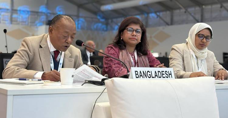 চারণভূমি সুরক্ষা ও টেকসই ব্যবস্থাপনায় স্থানীয় জনগোষ্ঠীকে সম্পৃক্ত করার আহ্বান পরিবেশমন্ত্রীর