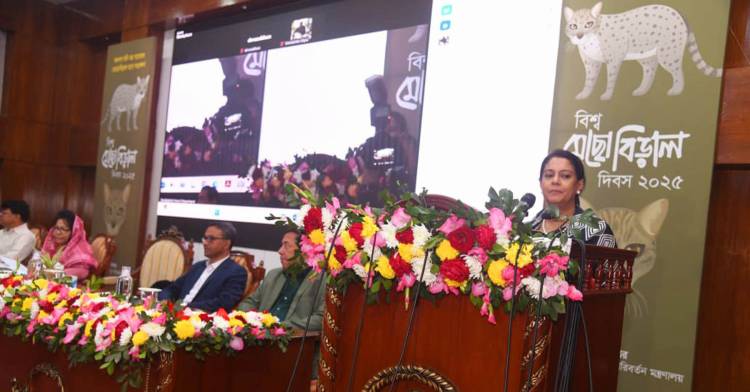 মেছো বিড়াল সংরক্ষণ শুধু প্রাণী অধিকার নয়, পরিবেশ রক্ষার জন্যও জরুরি  -পরিবেশ উপদেষ্টা
