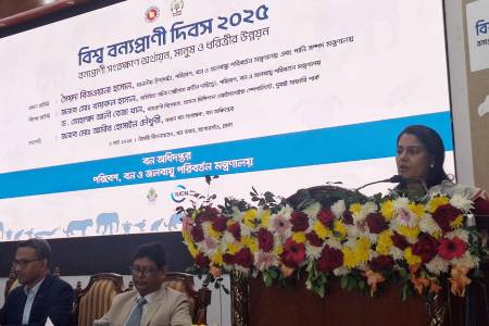 বাংলাদেশের বিলুপ্ত বন্যপ্রাণী ফিরিয়ে আনার উদ্যোগ নিয়েছে সরকার - পরিবেশ উপদেষ্টা