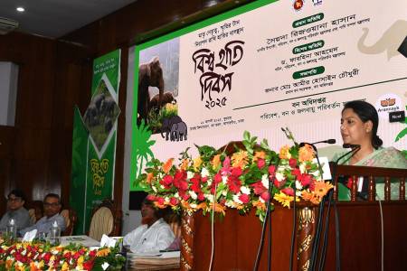 হাতি সংরক্ষণে আবাসস্থল রক্ষা, করিডোর মুক্তকরণ ও সচেতনতা জরুরি - পরিবেশ উপদেষ্টা