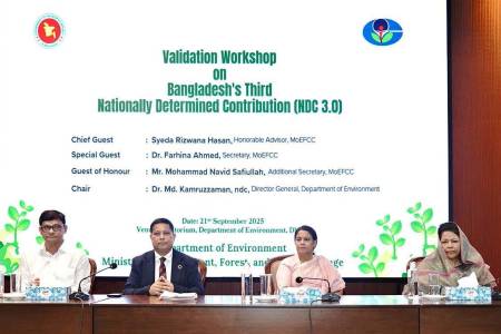 জলবায়ু ঝুঁকি কমাতে প্রণীত এনডিসি ৩.০ বাস্তবায়নে বাংলাদেশের প্রয়োজন ১১৬ দশমিক ৮ বিলিয়ন মার্কিন ডলার - সৈয়দা রিজওয়ানা হাসান