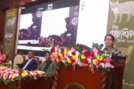 মেছো বিড়াল সংরক্ষণ শুধু প্রাণী অধিকার নয়, পরিবেশ রক্ষার জন্যও জরুরি  -পরিবেশ উপদেষ্টা